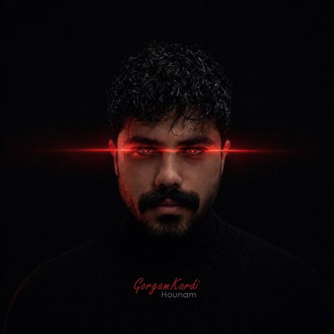 دانلود آهنگ هونام گرگم کردی